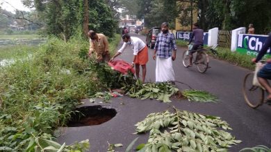 Photo of പഴുവിൽ മൂക്കിലകാട് വളവിനു സമീപം പിഡബ്ല്യുഡി റോഡ് പൊളിഞ്ഞ് അപകടാവസ്ഥയിൽ കിടക്കുന്നത് അറിയാൻ വേണ്ടി നാട്ടുക്കാർ സിഗ്നലുകൾ വെക്കുന്നു.