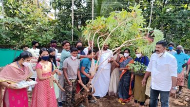 Photo of വിദ്യാർത്ഥികൾക്ക് വിത്തു വിതരണവും സ്കൂൾ പച്ചക്കറിത്തോട്ടത്തിൻ്റെ ഉദ്ഘാടനവും വിളവെടുപ്പും നടന്നു…