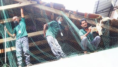 Photo of വെള്ളിമൂങ്ങയെ പിടികൂടി