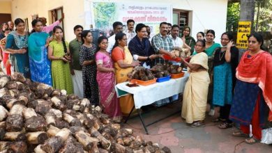 Photo of കാര്‍ഷിക സമൃദ്ധിയില്‍ വിജയഗാഥ തീര്‍ക്കാനൊരുങ്ങി തളിക്കുളം