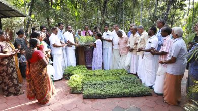 Photo of ജൈവ ഗ്രാമം പദ്ധതിയിലൂടെ സൗജന്യ പച്ചക്കറി തൈകൾ വിതരണം ചെയ്‌തു