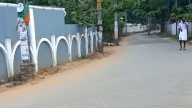 Photo of പൊതുജനങ്ങളുടെ സുരക്ഷയെ കരുതി ഗതാഗത നിയന്ത്രണം