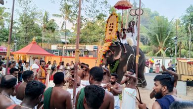 Photo of നാട്ടിക നായരുശ്ശേരി ശ്രീ ഭദ്രകാളി ക്ഷേത്രോത്സവം ആഘോഷിച്ചു