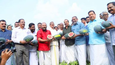 Photo of മലയാളിയുടെ ഭക്ഷണരീതിയില്‍ കാതലായ തിരുത്തല്‍ അനിവാര്യം:- പി പ്രസാദ്