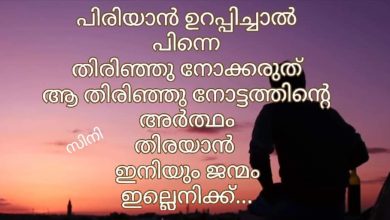 Photo of പിൻവിളിക്കു പോലും കാതോർക്കാതെ…