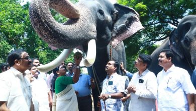 Photo of ദേവസ്വം ആനകൾക്കുള്ള സുഖചികിൽസ മന്ത്രി ജെ.ചിഞ്ചുറാണി ഉദ്ഘാടനം ചെയ്തു