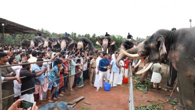 Photo of തൃപ്രയാർ ശ്രീരാമ ക്ഷേത്രത്തിൽ മഹാഗണപതി ഹോമവും, ഗജപൂജയും. ആനയൂട്ടും