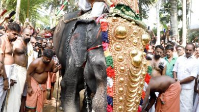 Photo of കാർഷികസ്മൃതിയെ ഉണർത്തും വിധം കൃഷിയിറക്കുന്നതിനുള്ള അനുമതിയേകികൊണ്ട് തൃപ്രയാർ തേവരുടെ പൈനൂർ പാടത്തെ ചാലുകുത്തൽ.