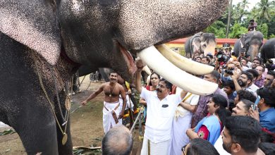 Photo of തൃപ്രയാർ ശ്രീരാമസ്വാമി ക്ഷേത്രത്തിൽ നടന്ന ആനയൂട്ട്