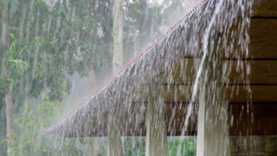 Photo of കന്യാകുമാരി കടലിനു മുകളിലെ ന്യൂനമര്‍ദ്ദത്തിന്റെ സ്വാധീന ഫലമായി കേരളത്തില്‍ അടുത്ത അഞ്ച് ദിവസം മഴ