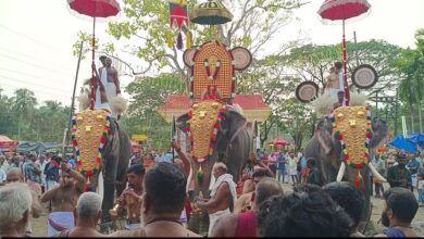 Photo of പുത്തൻപീടിക തോന്നിയകാവ് ഭഗവതി ക്ഷേത്രത്തിലെ അശ്വതി വേല ആഘോഷിച്ചു. പഴുവിൽ രഘുമാരാരുടെ നേതൃത്വത്തിലുള്ള മേളത്തിൻ്റെ അകമ്പടിയോടെ പൂരം എഴുന്നള്ളിപ്പ് നടന്നു. അന്തിക്കാട് ദേവസ്വം ഓഫീസർ കെ എൻ ബാബുരാജ്, രക്ഷാധികാരി അഡ്വ.എ യു രഘുരാമൻ പണിക്കർ ,സെക്രട്ടറി രാധ ബിജു, പ്രസിഡൻ്റ് എം ബി ദിനിൽ കുമാർ എന്നിവർ നേതൃത്വം വഹിച്ചു.