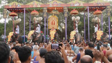 Photo of എടമുട്ടം പാലപ്പെട്ടി അശ്വതി വേല മഹോത്സവത്തോടനുബന്ധിച്ച് നടന്ന എഴുന്നള്ളിപ്പ്.