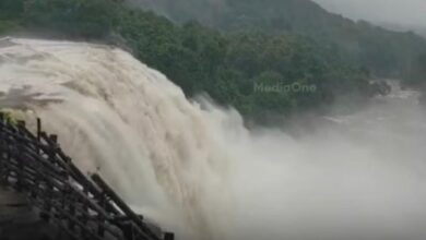 Photo of തൃശൂരിൽ പുലർച്ചെ മുതൽ കനത്ത മഴ; നിറഞ്ഞൊഴുകി അതിരപ്പള്ളി വെള്ളച്ചാട്ടം