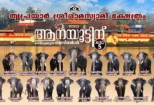 Photo of തൃപ്രയാർ ശ്രീരാമസ്വാമി ക്ഷേത്രത്തിൽ.അഷ്ടദ്രവ്യമഹാഗണപതി ഹോമവും ഗജപൂജയും ആനയൂട്ടും 5 ന് ബുധനാഴ്ച