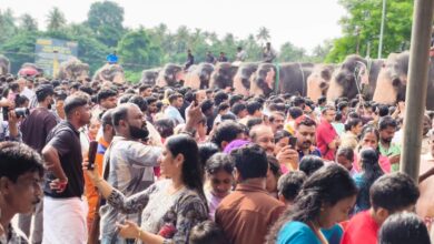 Photo of തൃപ്രയാർ ശ്രീരാമസ്വാമി ക്ഷേത്രത്തിൽ അഷ്ടദ്രവ്യമഹാഗണപതി ഹോമവും ഗജപൂജയും  ആനയൂട്ടും നടന്നു.