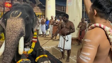 Photo of ശ്രീരാമസ്വാമി ക്ഷേത്രത്തിൽ കർക്കിടക മാസത്തിലെ 1008 നാളികേരം കൊണ്ടുള്ള പ്രത്യക്ഷമഹാഗണപതി ഹോമവും ആനയൂട്ടും നടന്നു.