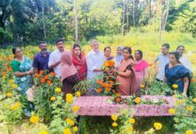 Photo of പുഷ്പ്പകൃഷിയുടെ വിളവെടുപ്പ് നടത്തി.