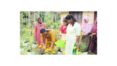 Photo of നിറപ്പൊലിമ വിളവെടുപ്പ് ഉദ്ഘാടനം