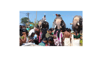 Photo of അയിരൂർ ചാപ്പക്കടവ് ശ്രീ ഗുളികൻ മുത്തപ്പൻ ഭഗവതി ക്ഷേത്രത്തിൽ ആനയൂട്ട്.
