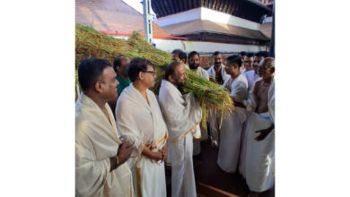 Photo of ഗുരുവായൂർ ക്ഷേത്രത്തിലെ ഇല്ലം നിറ നെൽക്കതിരുകൾ ഗുരുവായൂർ ദേവസ്വം ചെയർമാൻ എ.വി. ഗോപിനാഥൻ സ്വീകരിക്കുന്നു.