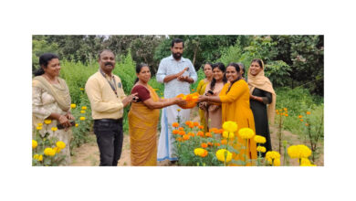 Photo of വലപ്പാട് ഗ്രാമ പഞ്ചായത്ത്‌ കുടുംബശ്രീ CDS ന്റെ നേതൃത്വത്തിൽ IFC സംയോജിത കൃഷിയുടെ നിറ പൊലിമ ഓണക്കനി പദ്ധതിയുടെ ഉദ്ഘാടനം വികസനകാര്യ സ്റ്റാൻഡിങ് കമ്മിറ്റി ചെയർമാൻ പി.എസ് ഷജിത്ത് നിർവഹിച്ചു.