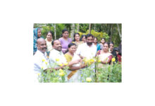 Photo of നീതുപ്രേംലാലിന്റെ 10 സെന്റ് സ്ഥലത്ത് കൃഷി ചെയ്ത ചെണ്ടുമല്ലി.യും തുമ്പയുടെയുംപൂ കൃഷി വിളവെടുപ്പ് മുൻ എം പി ടി.എൻ. പ്രതാപൻ.നിർവഹിച്ചു.