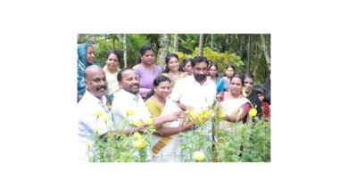 Photo of നീതുപ്രേംലാലിന്റെ 10 സെന്റ് സ്ഥലത്ത് കൃഷി ചെയ്ത ചെണ്ടുമല്ലി.യും തുമ്പയുടെയുംപൂ കൃഷി വിളവെടുപ്പ് മുൻ എം പി ടി.എൻ. പ്രതാപൻ.നിർവഹിച്ചു.