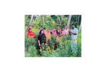 Photo of ജനകീയാ സൂത്രണം 2026-2027 തളിക്കുളം ഗ്രാമപഞ്ചായത്ത്, കൃഷിഭവൻ ചെണ്ടുമല്ലി കൃഷി എട്ടാം വാർഡ് ഷംന വലിയകത്തിന്റെപറമ്പിലെ വിളവെടുപ്പ് വാർഡ് മെമ്പർ ഷമീർ ഉത്ഘാടനം നിർവഹിച്ചു.
