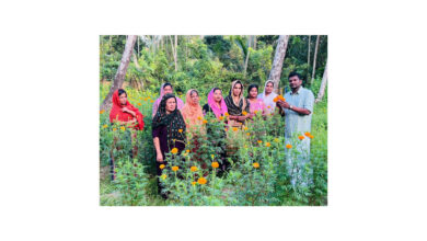 Photo of ജനകീയാ സൂത്രണം 2026-2027 തളിക്കുളം ഗ്രാമപഞ്ചായത്ത്, കൃഷിഭവൻ ചെണ്ടുമല്ലി കൃഷി എട്ടാം വാർഡ് ഷംന വലിയകത്തിന്റെപറമ്പിലെ വിളവെടുപ്പ് വാർഡ് മെമ്പർ ഷമീർ ഉത്ഘാടനം നിർവഹിച്ചു.