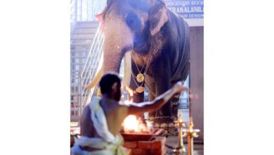 Photo of ഗുരുവായൂരിൽ പ്രത്യക്ഷ ഗണപതി ഹോമം.